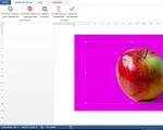 Ako otočiť obrázok o niekoľko stupňov v programe Maľovanie (Paint), správca obrázkov Microsoft Office, Photoshop (photoshop) Ako otočiť obrázok v programe Word